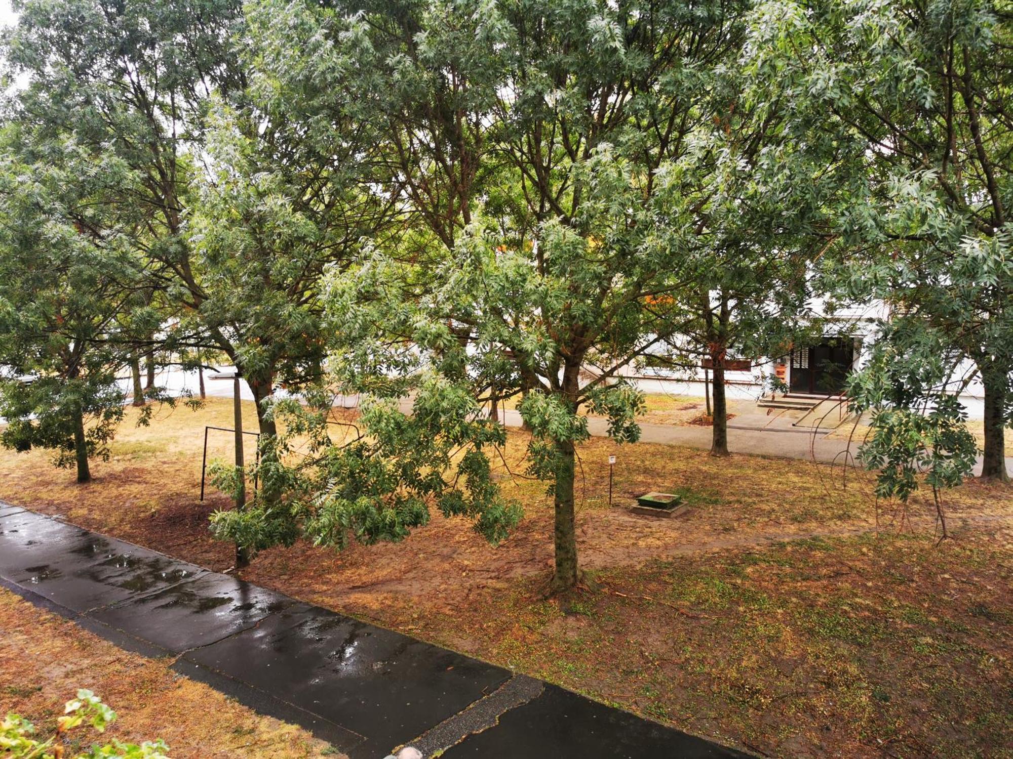 Central Park Apartman Szekszard Ngoại thất bức ảnh